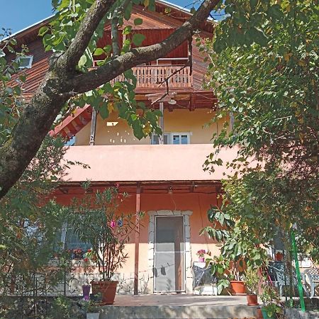 Vila Mara Sărata-Monteoru Екстериор снимка