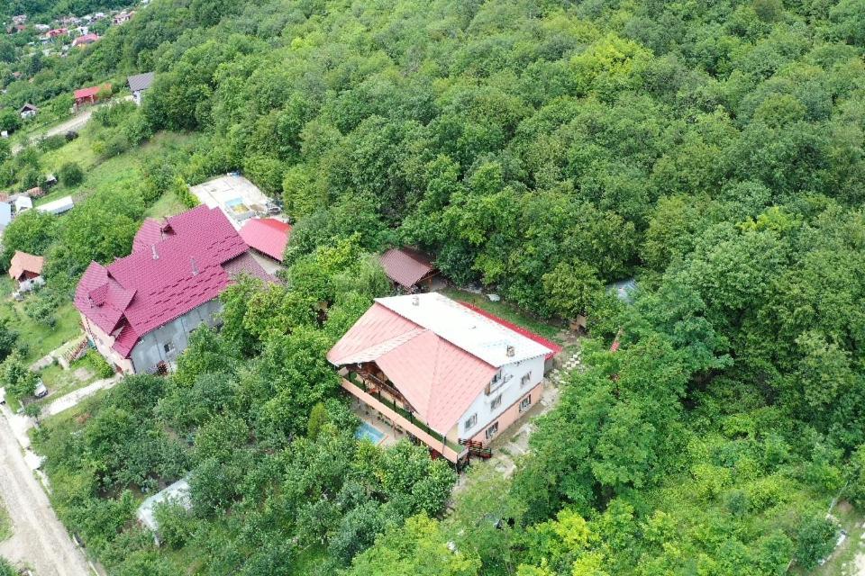 Vila Mara Sărata-Monteoru Екстериор снимка